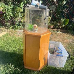 Fish Tank Terrarium And Wooden Stand