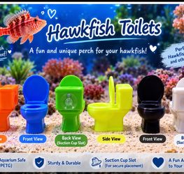 Toilet for Hawkfish and blennys