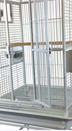 Cage parakeets