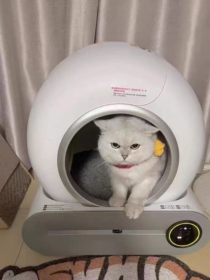 π Self-Cleaning Cat Litter Box - 15 Days of Total Freedom! No Scoop, No Smell!