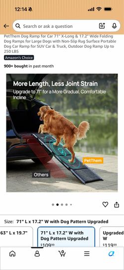 Pet dog ramp