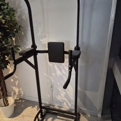 Pull Up Dip Station