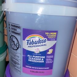 Fabuloso Lavender 5 Gallon buckets 