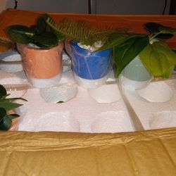 Artificial Flowers