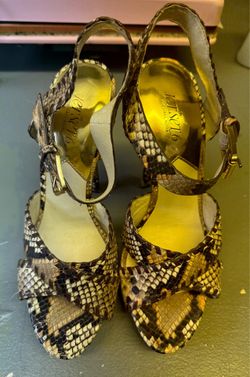 Steve Madden Women's