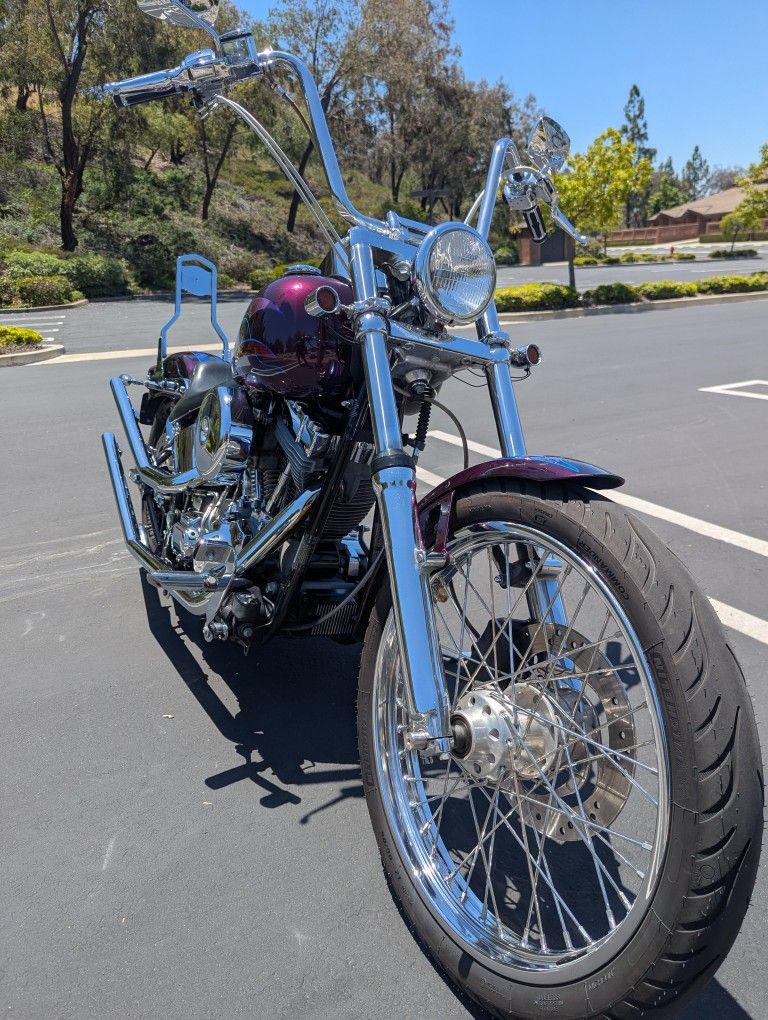 2000 Harley Davidson Softail Standard