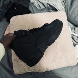 Jordan 12 