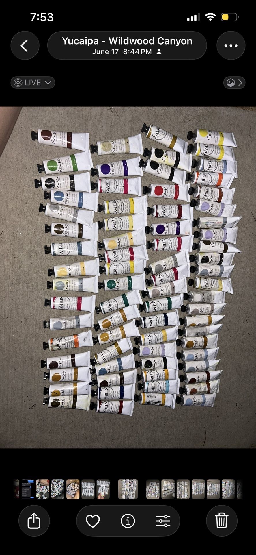 Gamblin Oil Paint For Sale 