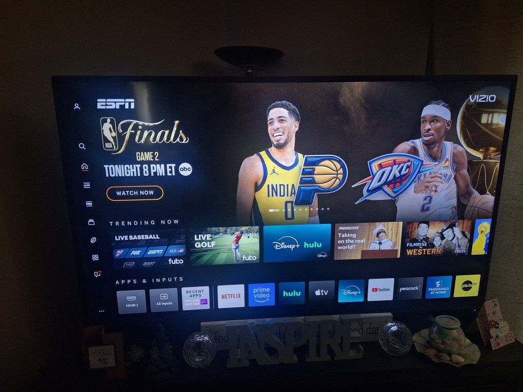 Vizio 55"