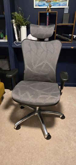 SIHOO Gray/Black Mesh High-Back Office Chair w/ Adjustable Headrest, Wheels