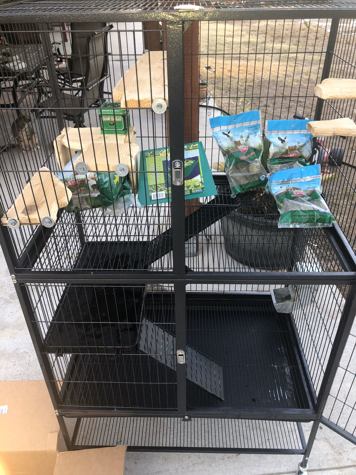 Chinchilla for sale w/cage