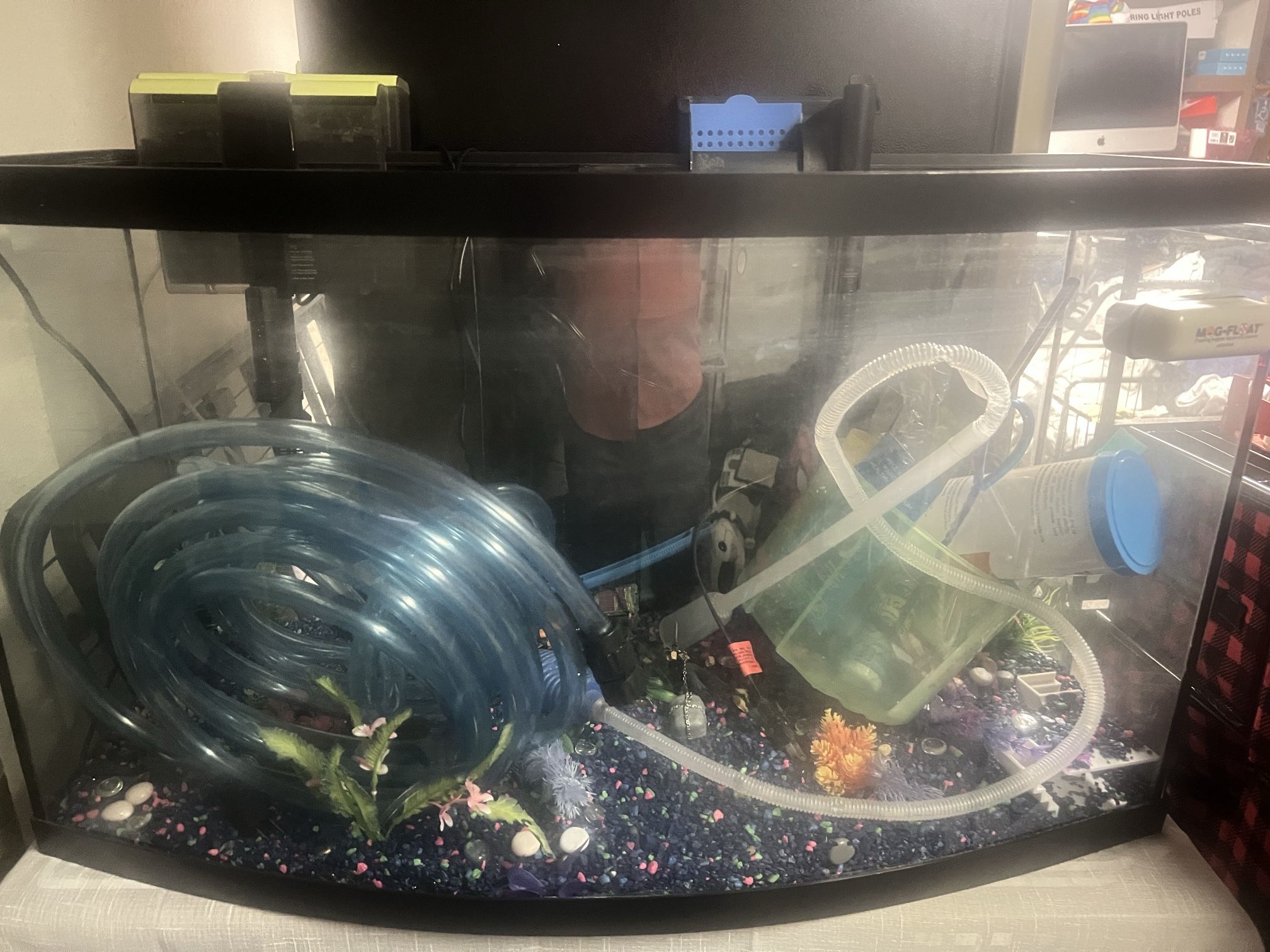 45 Gallon Fish Tank