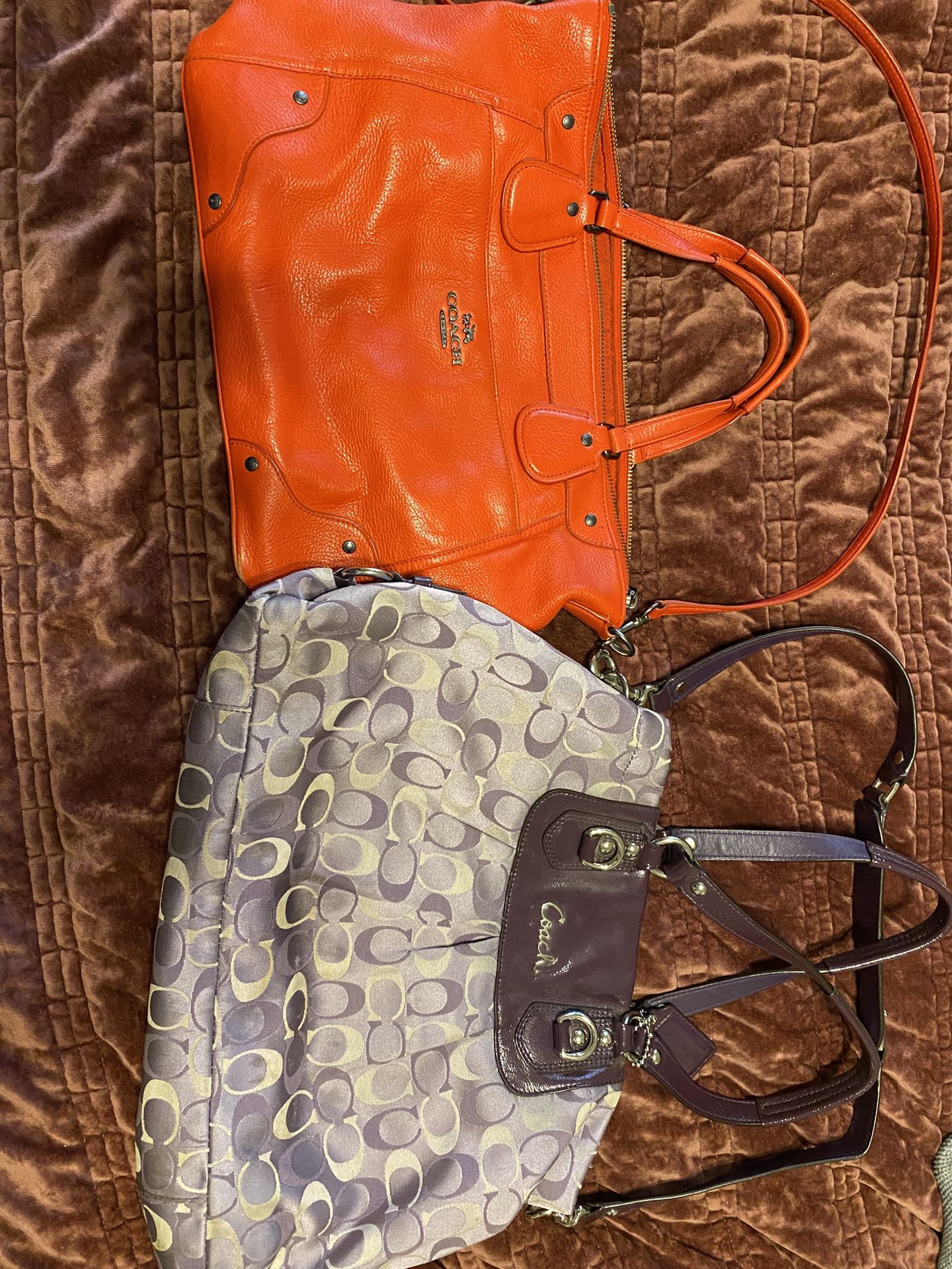 Coach Handbags