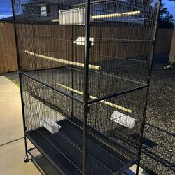 Bird Cage 