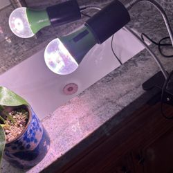Plant Light And Extra Bulbs 