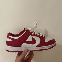 Nike Gym Red Dunks