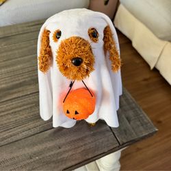 Halloween Dog Decor