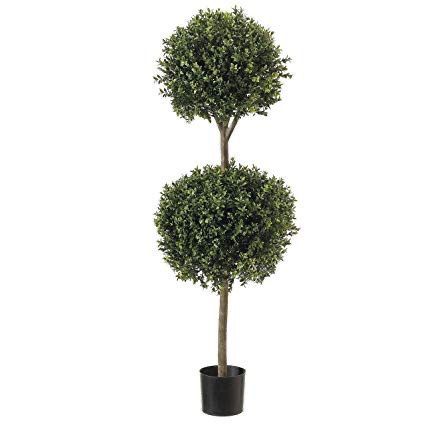 Ball Boxwood Top Topiary in Pot