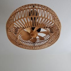 Small Cieling Fan