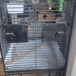 Big Birds Cage 
