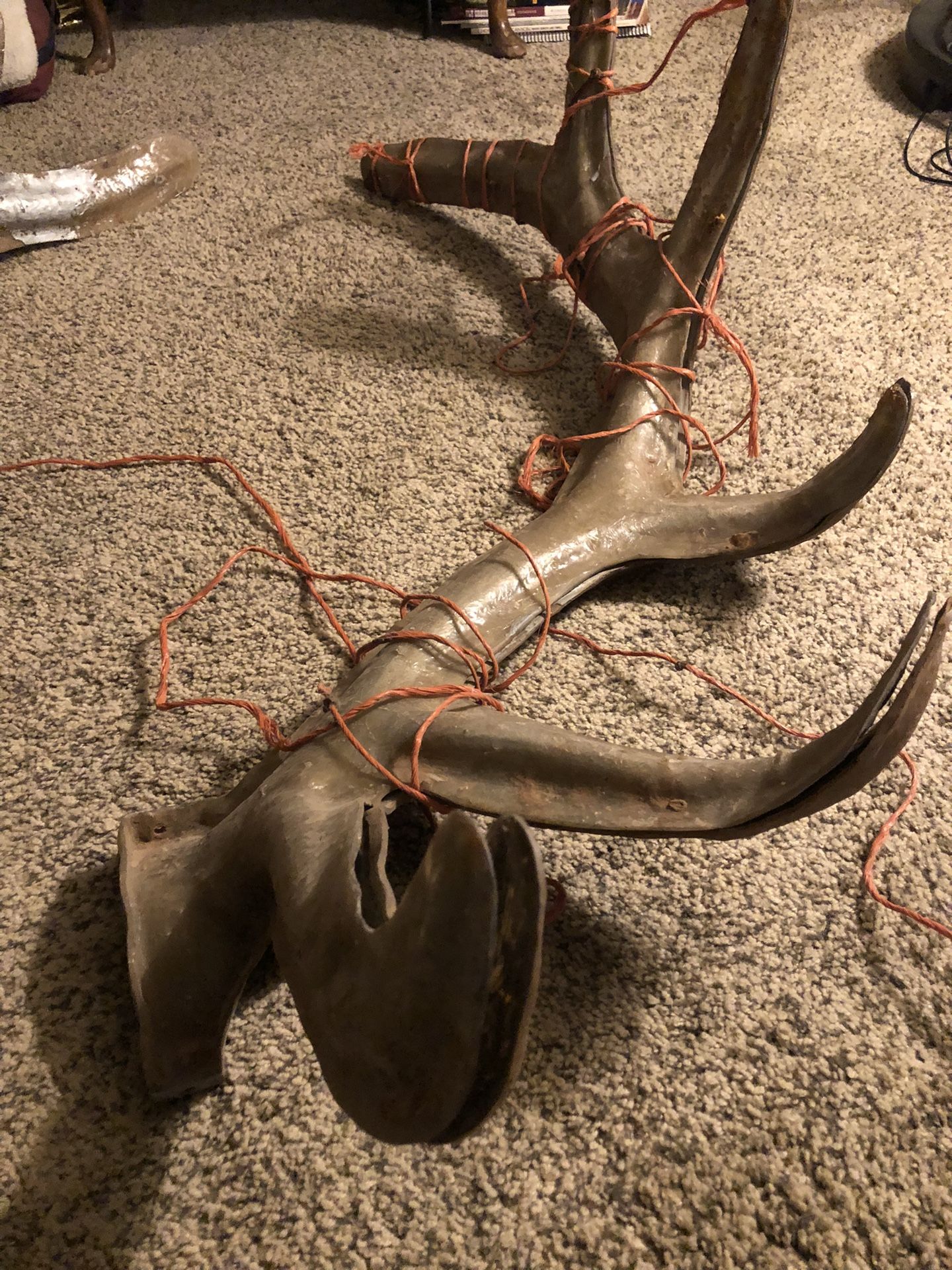 Antler Molds