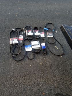 Brownie Drive And V Belts All Sizes