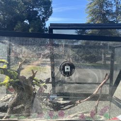 40 gallon reptile tank