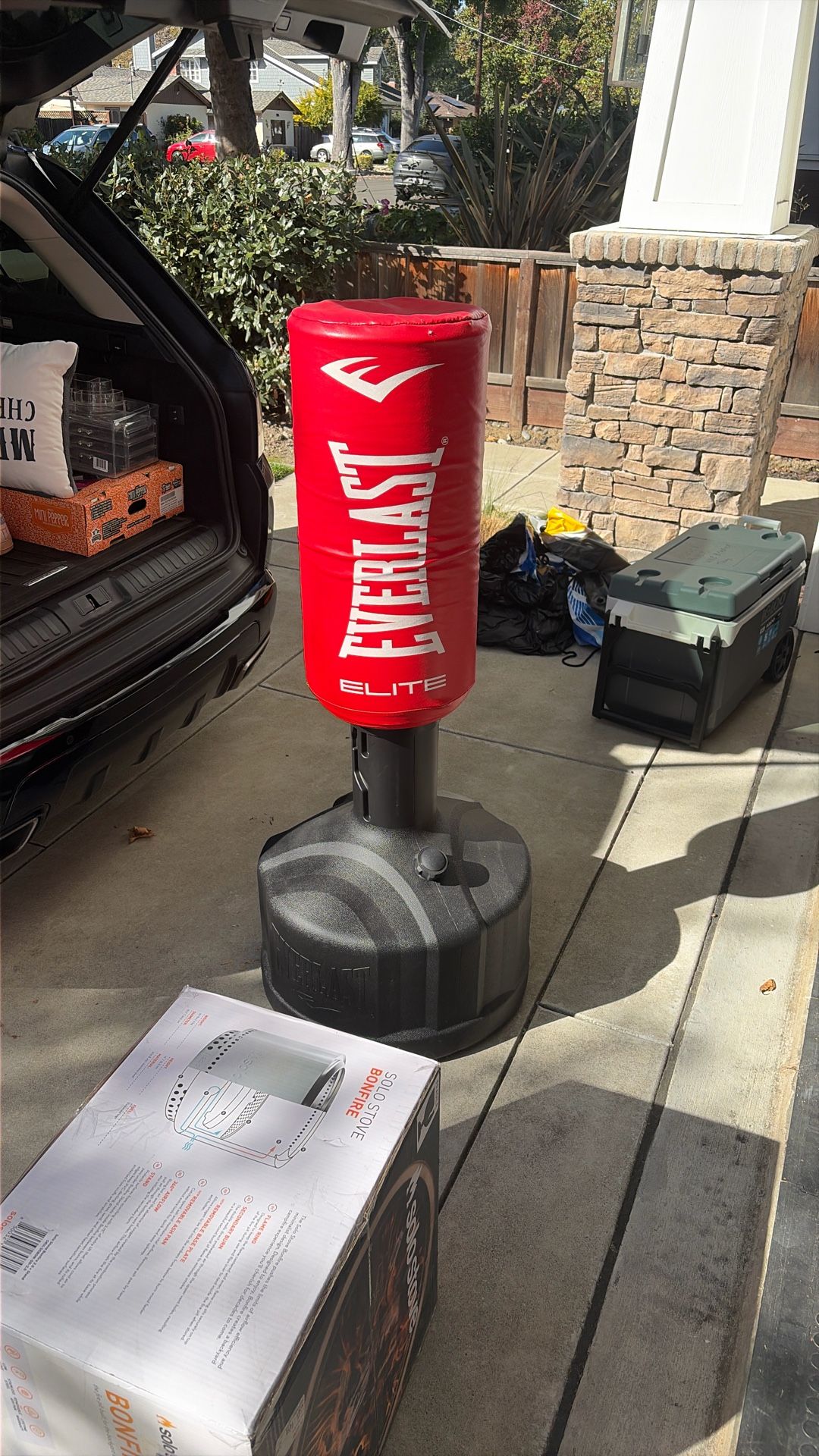 Everlast Punching Bag 