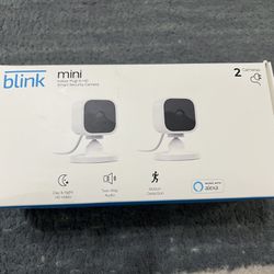 Blink Mini Indoor Cameras 