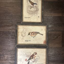 World Market Bird Picture 