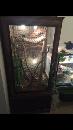 cages for lizards