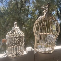 Bird Cages 