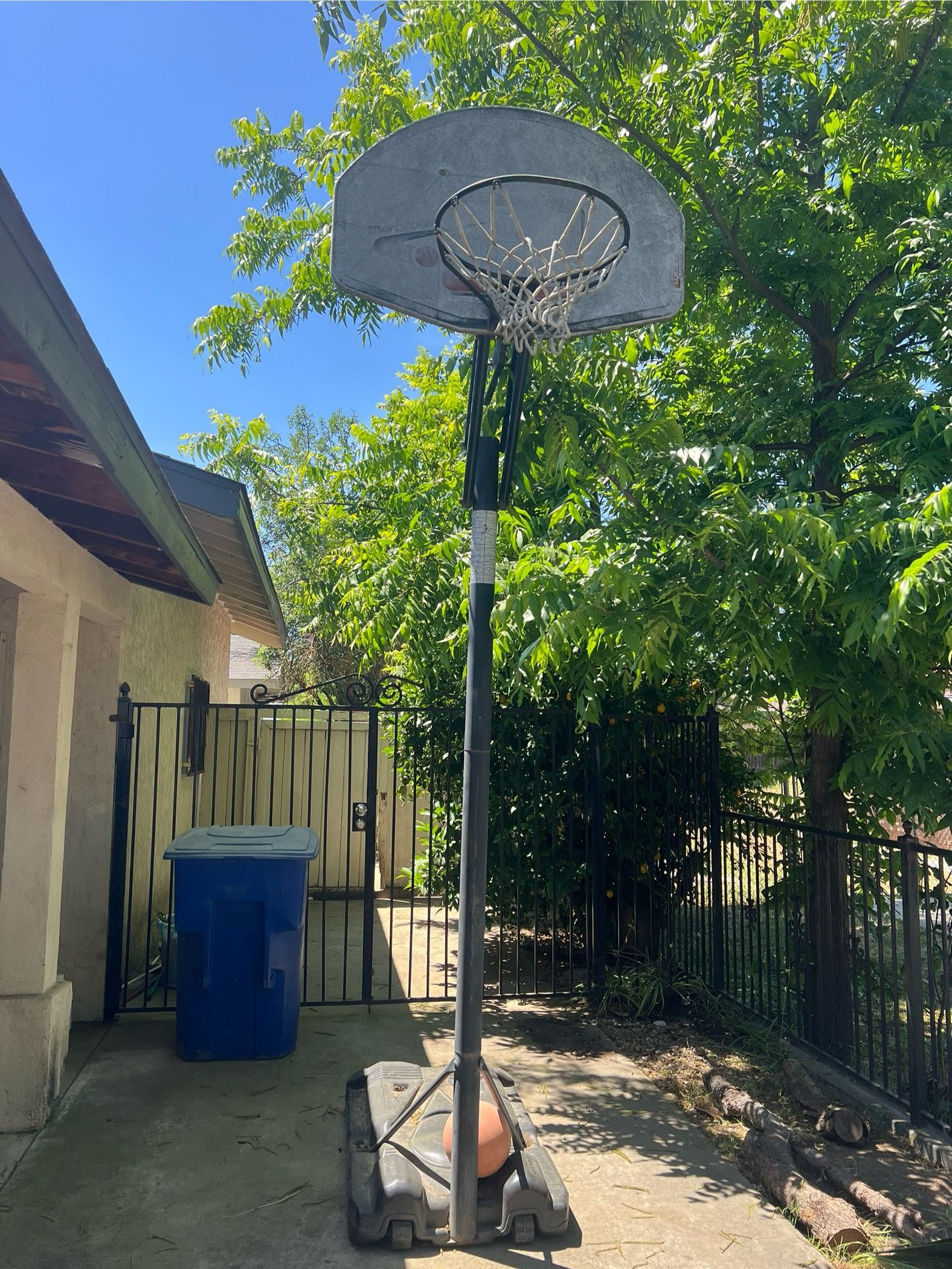 Lifetime Portable Basketball Hoop – Adjustable Height + Fillable Base