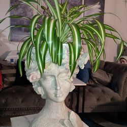 Pot Holder With Plant