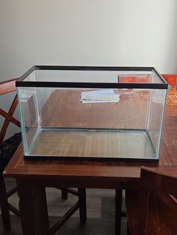 10gal tank