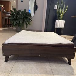Dog Bed