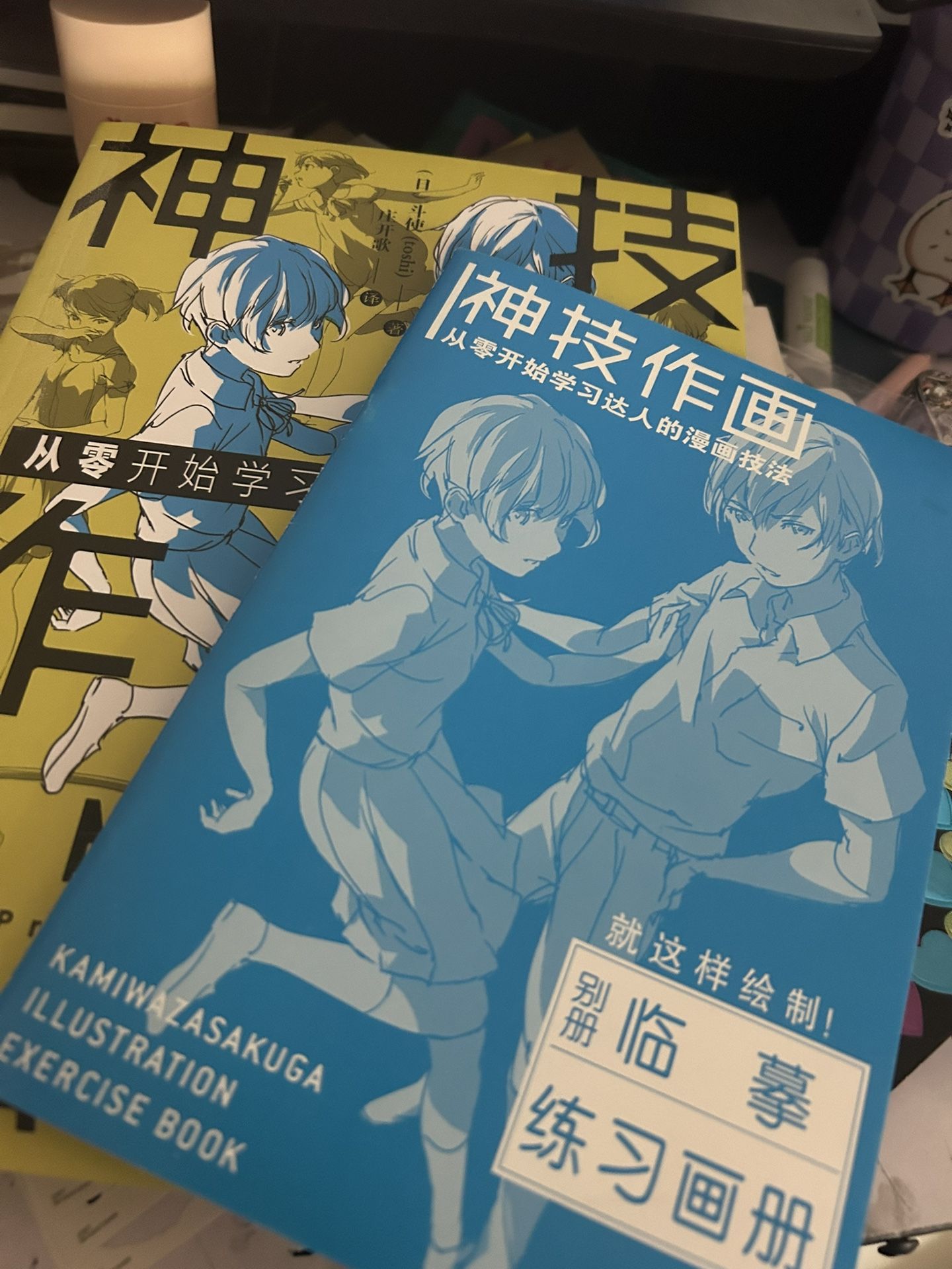 Anime / Manga Art Book