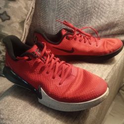 Kobe Mamba Focus