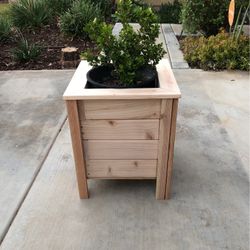 Small Wooden Planter