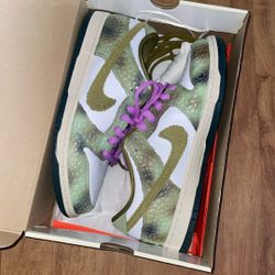 SB Dunk Chameleon size 11