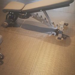 Rep Fitness Adjustable FID Bench