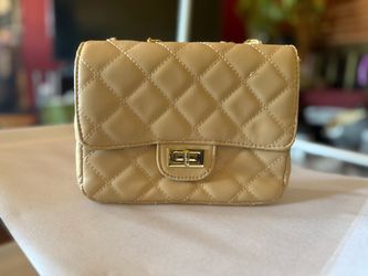 Mini Quilted Flap Bag with Gold Hardware