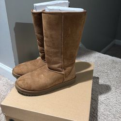 Women Uggs 