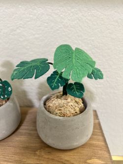 Monstera Decor