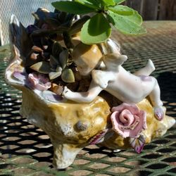 6"×4" Porcelain Angel Shell with Succulents