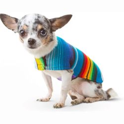 Mexican Clothes For Dog Size M