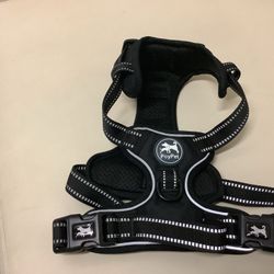 Correa De Amscotas Medianao