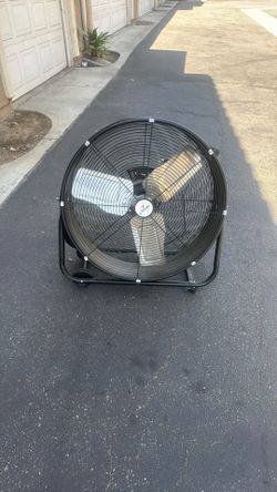 Fan