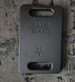 45 LB Ruck Weight Plate + GORUCK Backpack Plate Carrier 2.0