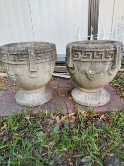 Cement  planters